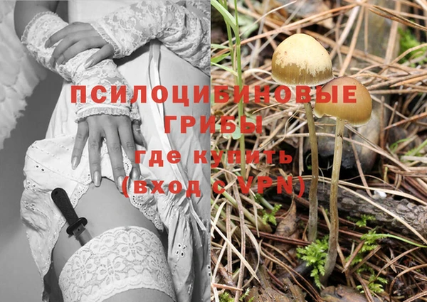 амф Новокубанск